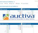 auctiva screen shot